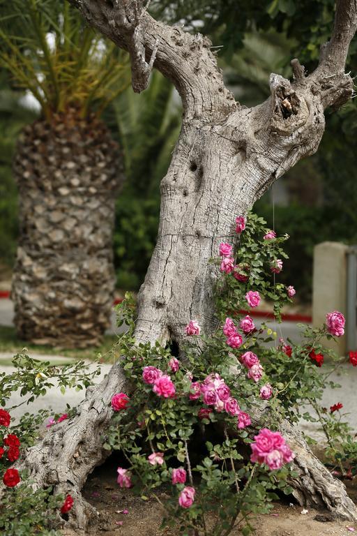 Mediterranee Thalasso Golf